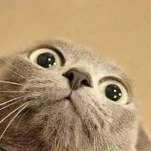 Meet your Posher, Jon